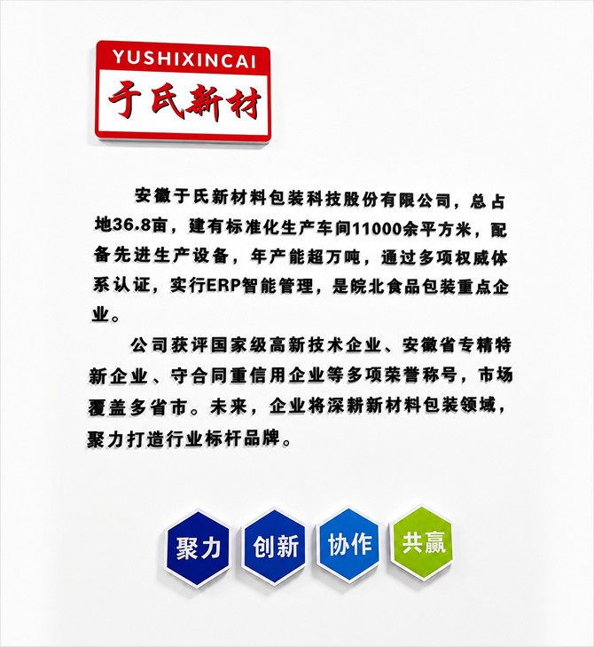 公司简介